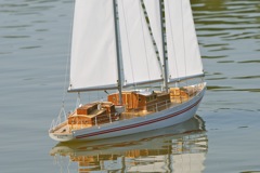 DSC00863 © Peter Taylor 2012