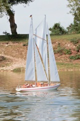 DSC01290 © Peter Taylor 2012