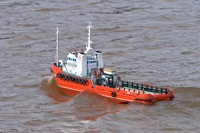 DSC04256 © Peter Taylor 2011