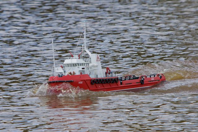 DSC06160 © Peter Taylor 2011