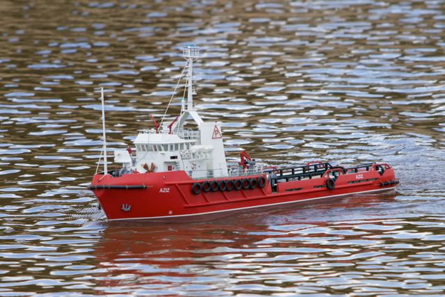 DSC06165 © Peter Taylor 2011