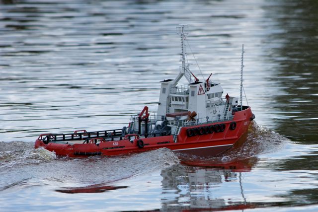 DSC06194 © Peter Taylor 2011