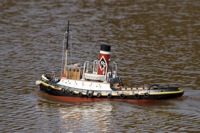 DSC04181 © Peter Taylor 2011