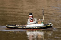 DSC04180 © Peter Taylor 2011