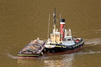 DSC04138 © Peter Taylor 2011