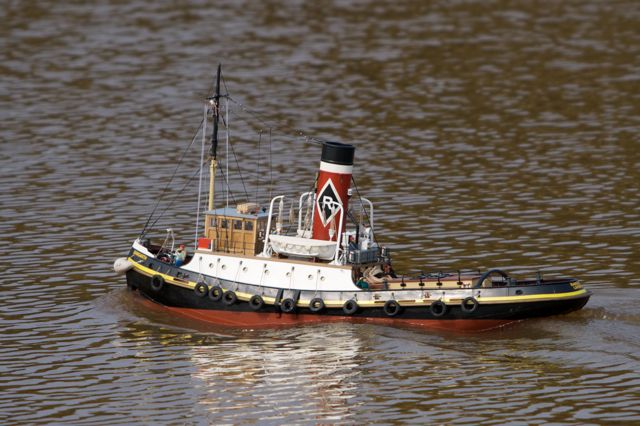DSC04181 © Peter Taylor 2011