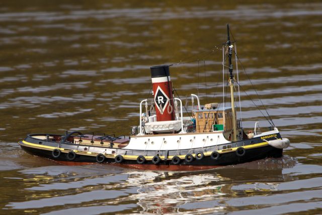 DSC04179 © Peter Taylor 2011