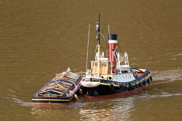 DSC04138 © Peter Taylor 2011