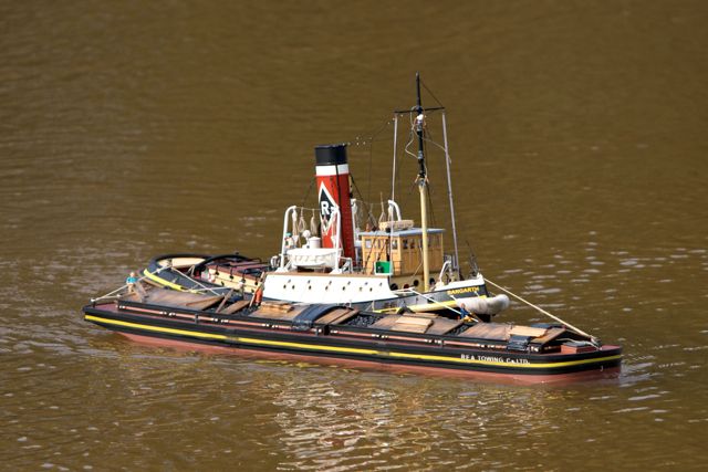 DSC04140 © Peter Taylor 2011
