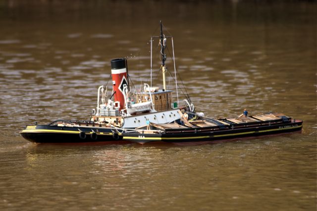 DSC04171 © Peter Taylor 2011