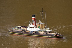 DSC04140 © Peter Taylor 2011