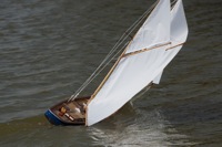 DSC01693 © Peter Taylor 2012