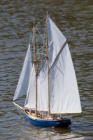 DSC07951 © Peter Taylor 2011