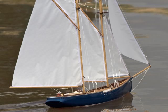 DSC05994 © Peter Taylor 2011