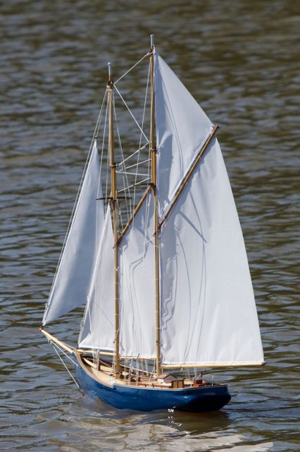 DSC07951 © Peter Taylor 2011