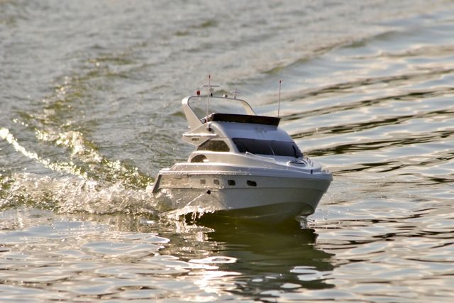 DSC08842 © Peter Taylor 2011