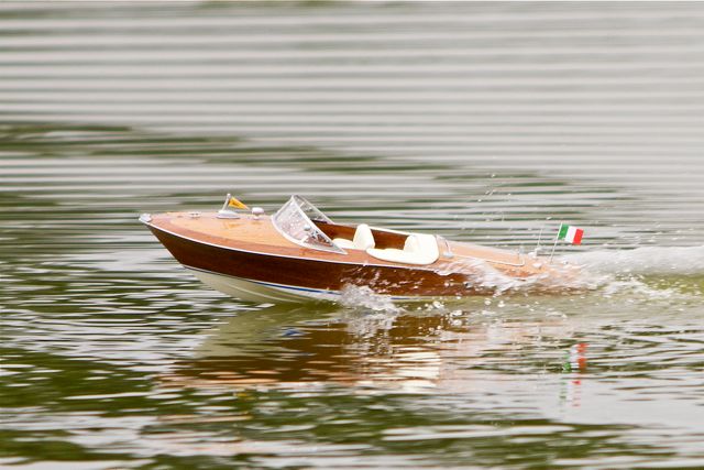 DSC00502 © Peter Taylor 2012
