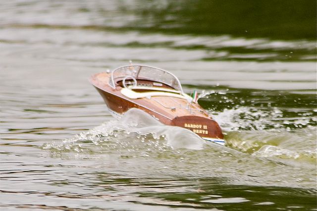 DSC00534 © Peter Taylor 2012