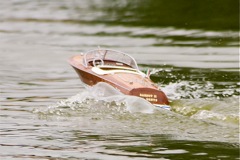 DSC00534 © Peter Taylor 2012