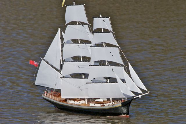 DSC09600 © Peter Taylor 2012