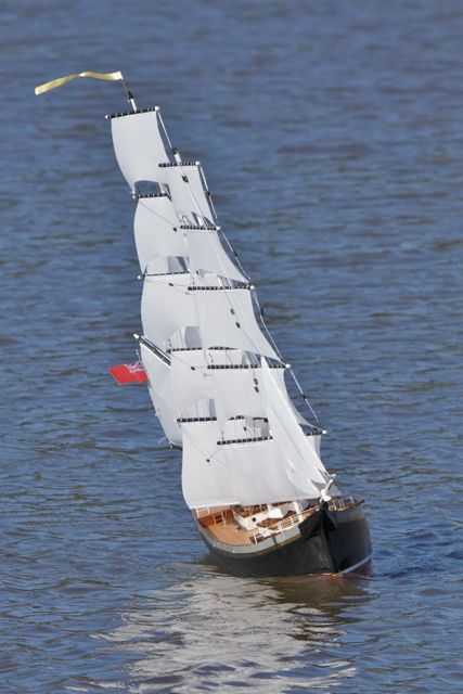 DSC09589 © Peter Taylor 2012
