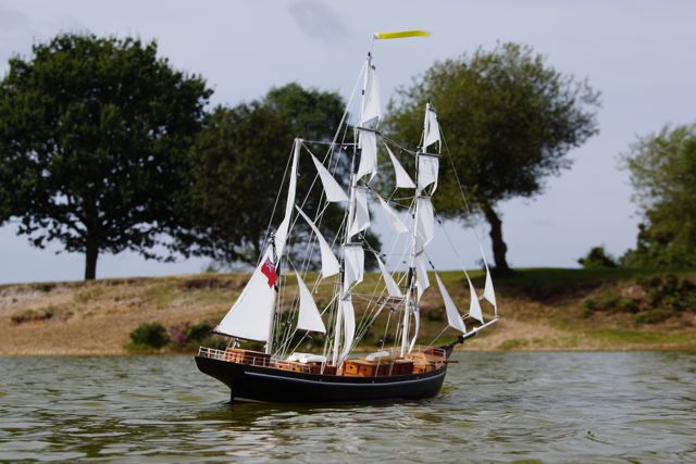 DSC01602 © Peter Taylor 2012