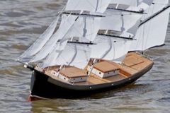 DSC07088 © Peter Taylor 2011