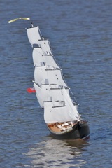 DSC09589 © Peter Taylor 2012