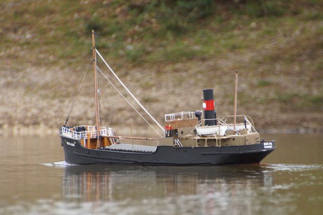 DSC07069 © Peter Taylor 2015