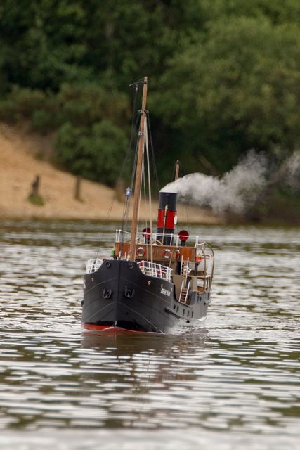 DSC07036 © Peter Taylor 2015