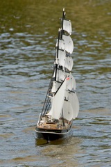 DSC06920 © Peter Taylor 2015