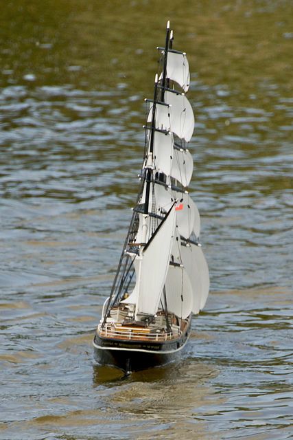 DSC06920 © Peter Taylor 2015