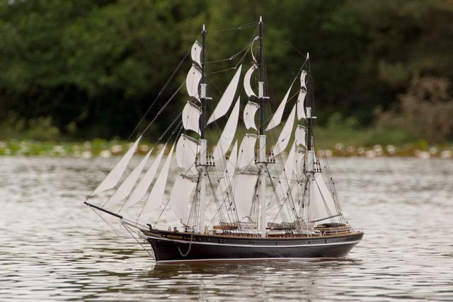 DSC07158 © Peter Taylor 2015
