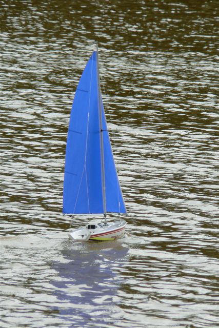 Blue Sailed Sloop (02)
