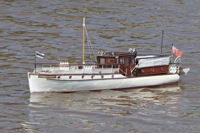 DSC06380 © Peter Taylor 2011
