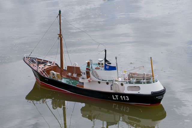 DSC04640 © Peter Taylor 2012