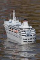 DSC04861 © Peter Taylor 2011