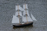 DSC03504 © Peter Taylor 2011