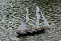 DSC02766 © Peter Taylor 2009