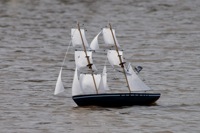 DSC04164 © Peter Taylor 2011