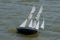 DSC01106 © Peter Taylor 2010