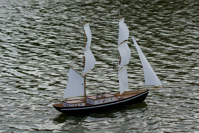 DSC02766 © Peter Taylor 2009