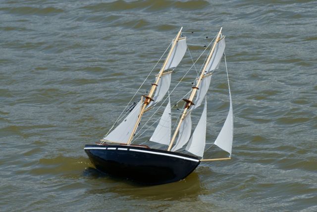 DSC01106 © Peter Taylor 2010