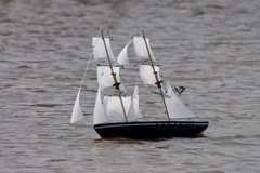 DSC04164 © Peter Taylor 2011