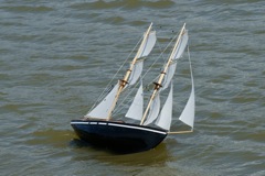 DSC01106 © Peter Taylor 2010
