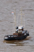 DSC04110 © Peter Taylor 2011