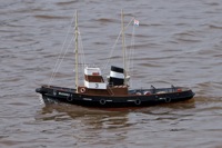 DSC04353 © Peter Taylor 2011