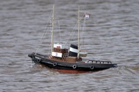 DSC04359 © Peter Taylor 2011
