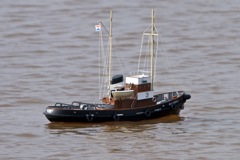 DSC04113 © Peter Taylor 2011