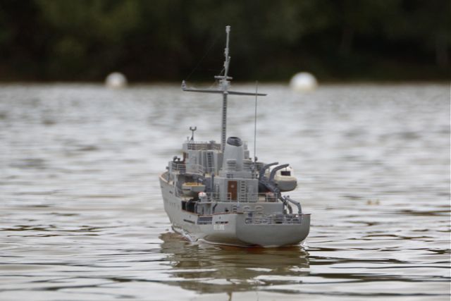 DSC01737 © Peter Taylor 2012